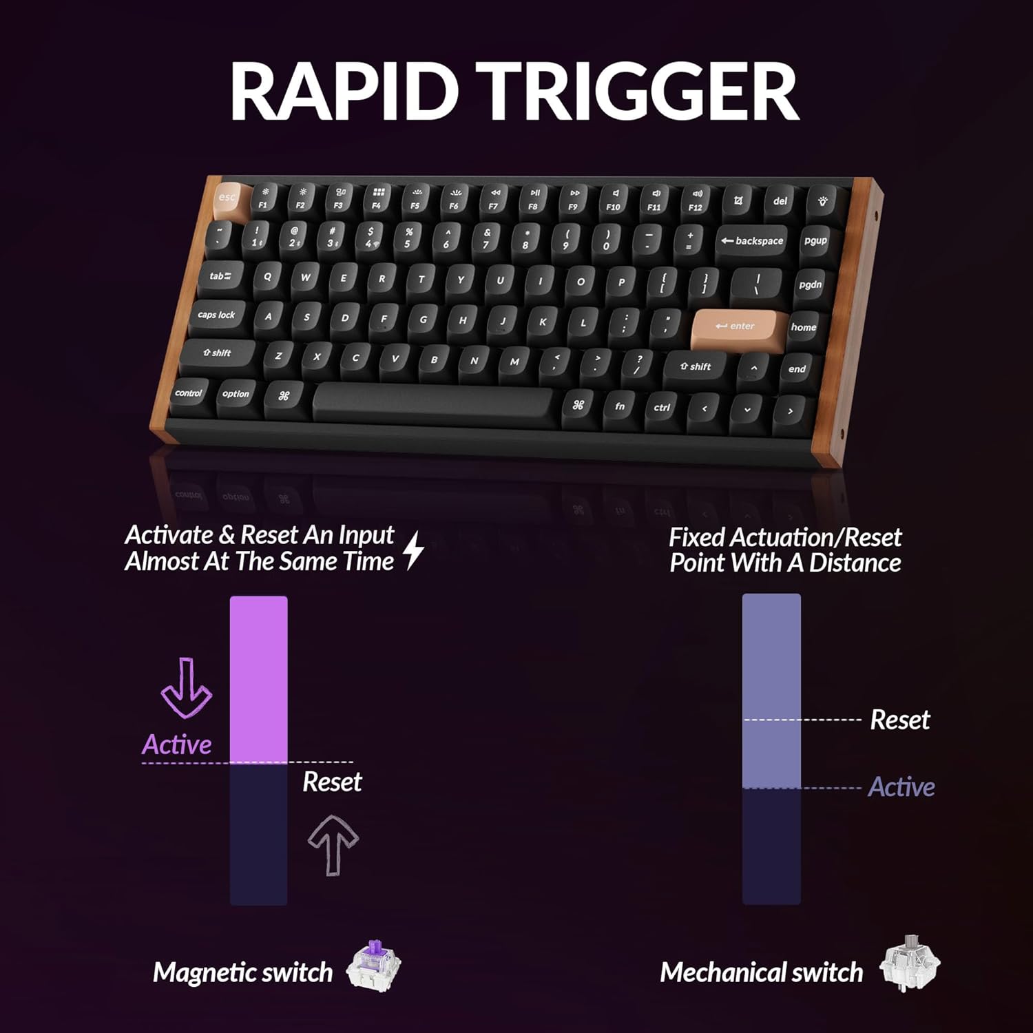 Customizable RGB lighting features